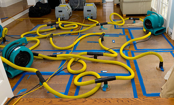 Professional Water Extraction technician working in Wellesley, MA